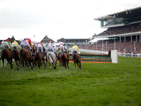 cheltenham live betting - Cheltenham betting